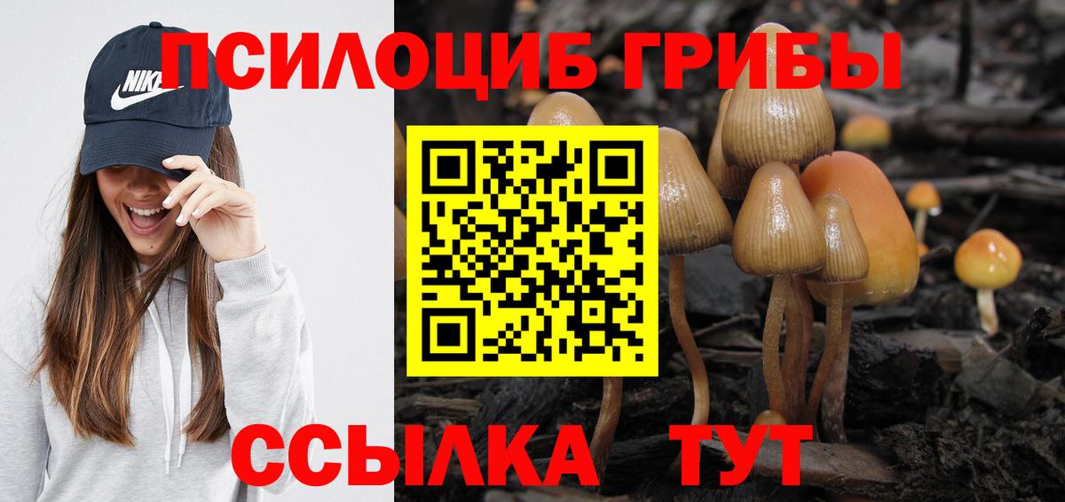Псилоцибиновые грибы мицелий  Вход с VPN  Йошкар-Ола 