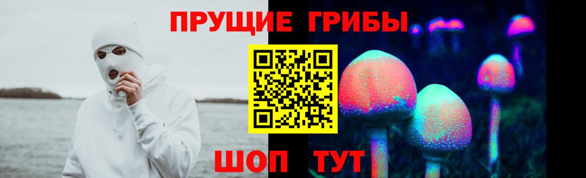 Псилоцибиновые грибы Cubensis Йошкар-Ола